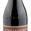 Cavallotto 2016 Cavallotto Barolo Bricco Boschis 1 Cavallotto 2016 Cavallotto Barolo Bricco Boschis -Famous Liquor Store cavallotto 2016 cavallotto barolo bricco boschis